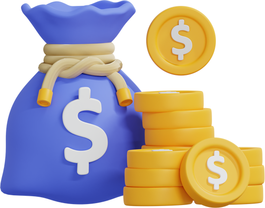 3D money bag